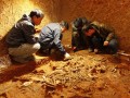 海昏侯墓考古发掘组组长称靖安大墓也发现香瓜子