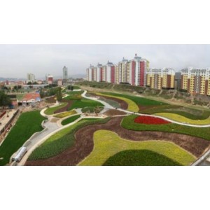 青唐城遗址公园景观提升改造项目公开招标公告