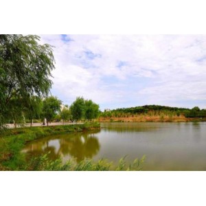 邓州市湍河国家湿地公园邓州市湍河国家湿地公园（试点）2016年中央财政湿地保护与恢复项目招标公告