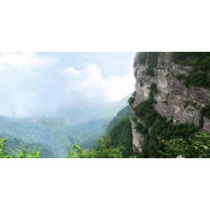 重庆市武隆望仙崖景区建设项目（一期）-环境绿化（现代观光茶园）（第二次）施工