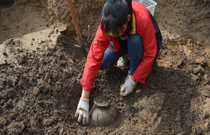 扶沟县发现6000年前文化遗址将进行考古试掘