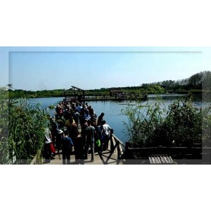 下水湿地公园（含十里四香单车主题园区）及马山休闲旅游区日常经营管理服务采购项目的采购公告