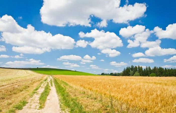 农业借“一带一路”再现繁盛之景