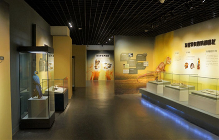 “恐龙木乃伊——浓缩的生命”展览在浙江自然博物馆开幕