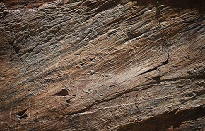 青海通天河流域发现21个岩画群　最早可追溯至2600年前