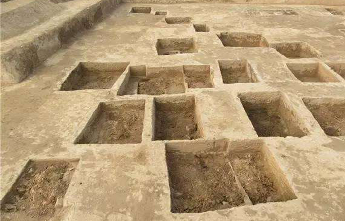 世园会考古发现完整魏晋家族墓 已发掘古墓1143座