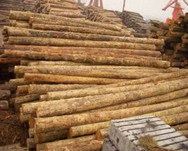 铁杉原木 加拿大铁杉 古建筑寺庙木材原木（元/立方米）--上海德鼎实业有限公司