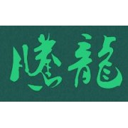 江苏腾龙园林绿化工程有限公司