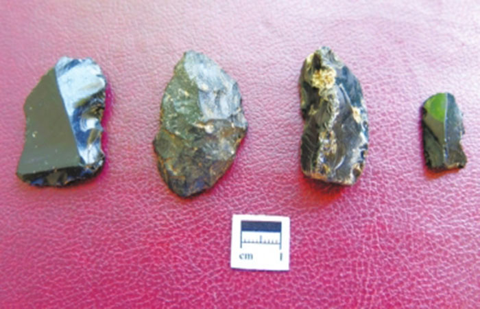 中国考古学家在东非探索人类起源 首次发现旧石器地点