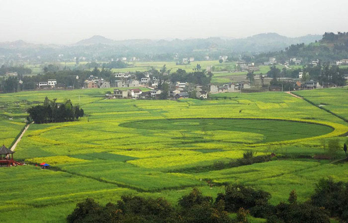 重庆：以生态文明促进乡村振兴