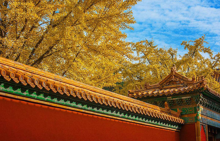 中国传统文化与古代建筑艺术的关系