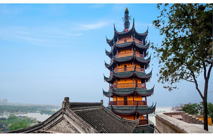 《深圳经济特区文化市场管理条例》实施细则