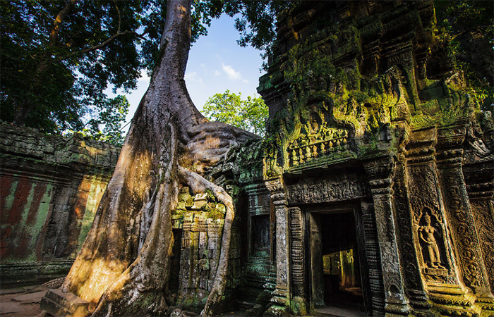 探秘柬埔寨塔普伦寺——大自然与庙宇共生的奇观