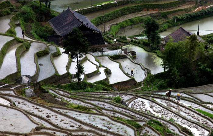 正确认识中国农业文化遗产的多重价值