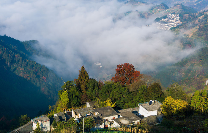 中华五千年文化的精髓在乡村