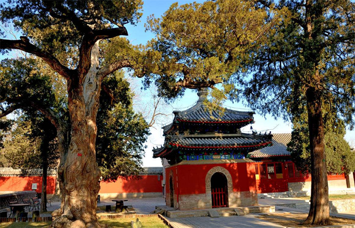 寺院文化︱佛教与中国文化的相遇