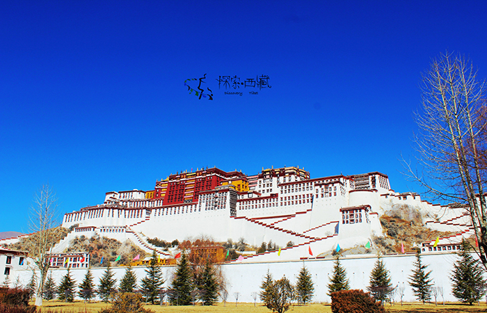 西藏一季度接待游客人次和总收入增长均超四成