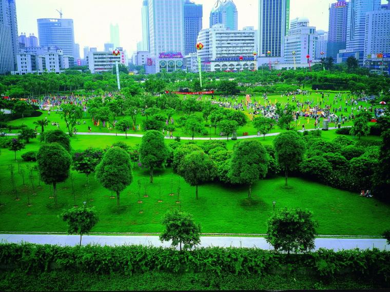 深圳市中心公园1