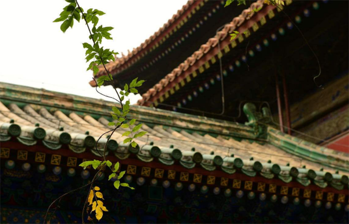建筑文化︱中国古建筑中的禅意文化