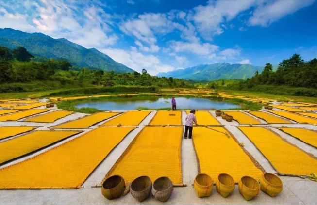 乡村旅游