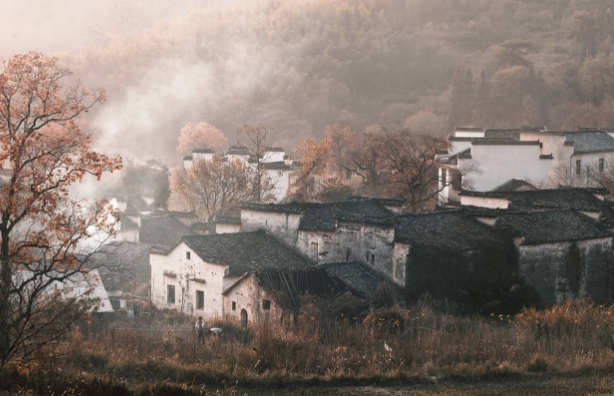 乡村振兴