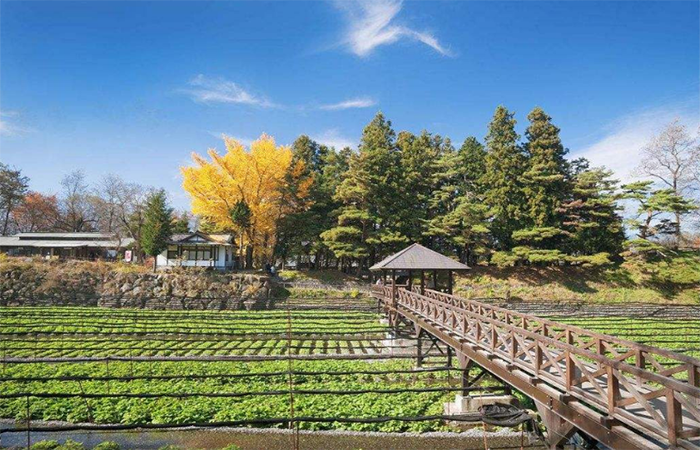 日本精致农业的6个秘诀，可供学习与借鉴！