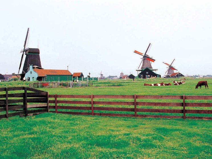 荷兰的农业特色小镇