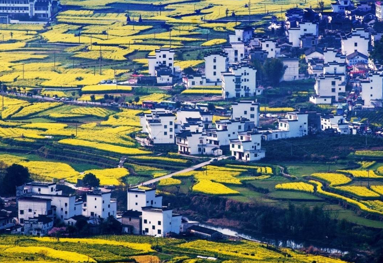 中国美丽乡村