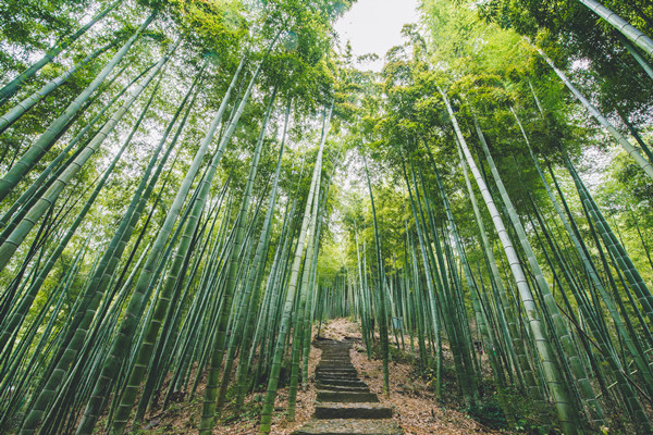 细数上海周边八大适宜旅游的景点