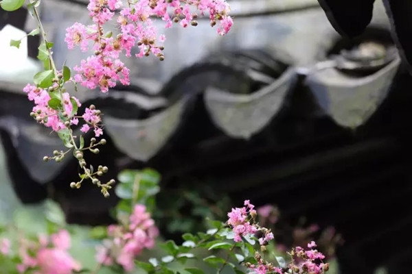 中式庭院“崇尚自然、师法自然”