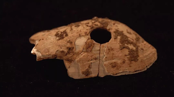 广东英德市青塘发现数万年前古人类栖居地