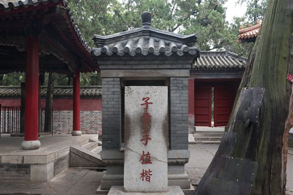 曲阜孔庙：中国儒家文化的发源地