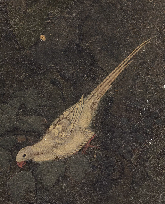 法海寺壁画水月观音图鹦鹉