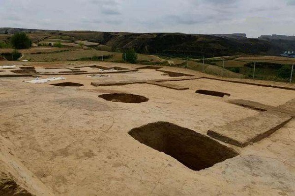 考古新发现：陕西寨山遗址发现活人殉葬墓