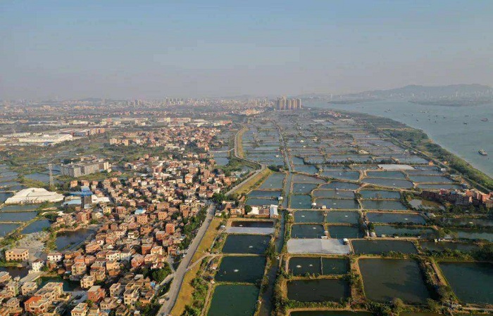 广东佛山桑园围入选世界灌溉工程遗产