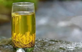 中国茶道——黄茶有何功效？