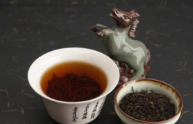 古代茶文化的演变和发展