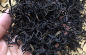 古代茶文化｜锯朵仔是什么茶？