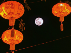 燃燈映月明，一起夜游杭博、鬧元宵！