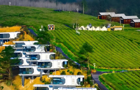 茶旅融合特色 IP ，开启乡村振兴的“茶旅”模式~