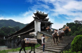 茶马古道上的经济史诗：千年茶叶贸易的兴衰与重塑