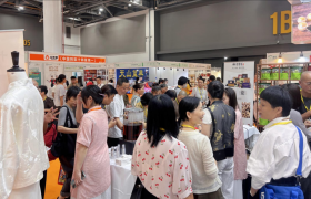 瓷中禅境——2025浙江禅养文化节盛大启幕