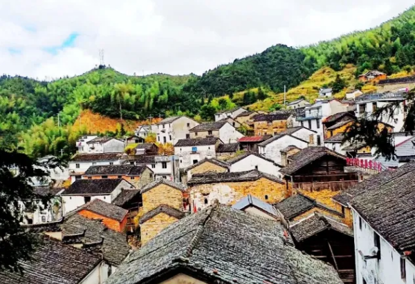 黃山市休寧縣溪口鎮花橋村木梨硔