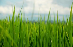 燦爛的中華農耕文化